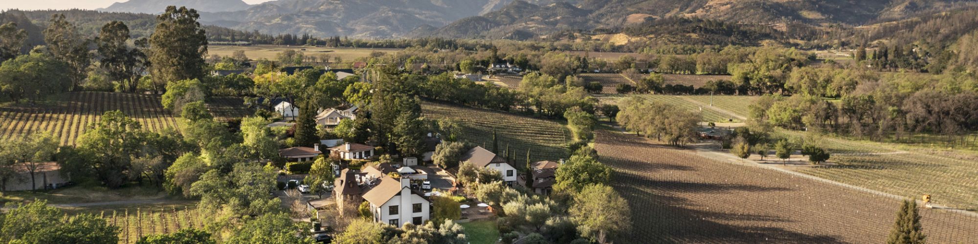 An aerial view of a picturesque village set amongst vineyards and lush greenery, surrounded by rolling hills and distant mountains.