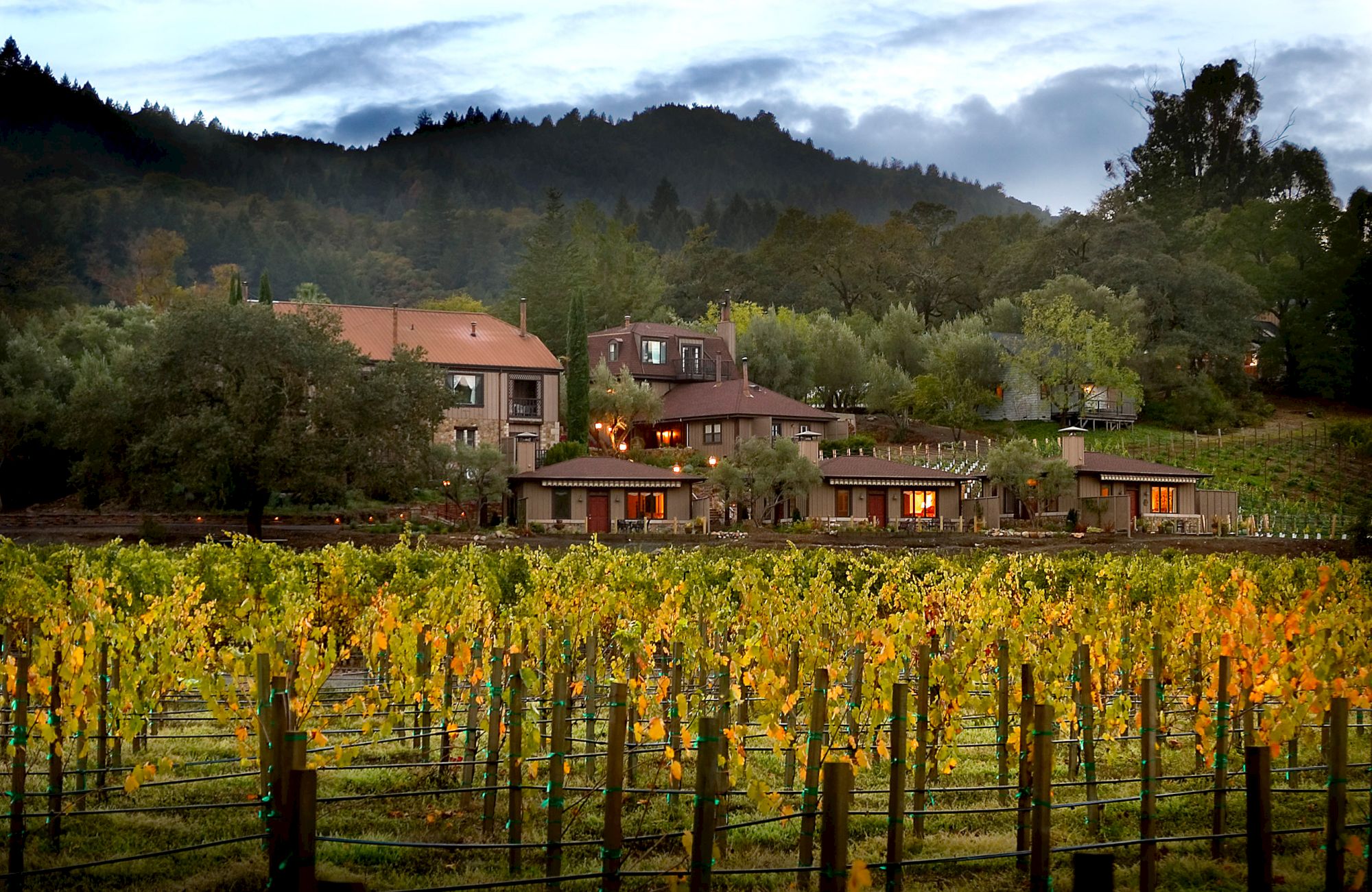 This image shows a picturesque vineyard with rows of grapevines, leading up to a cluster of rustic buildings nestled among lush green hills.