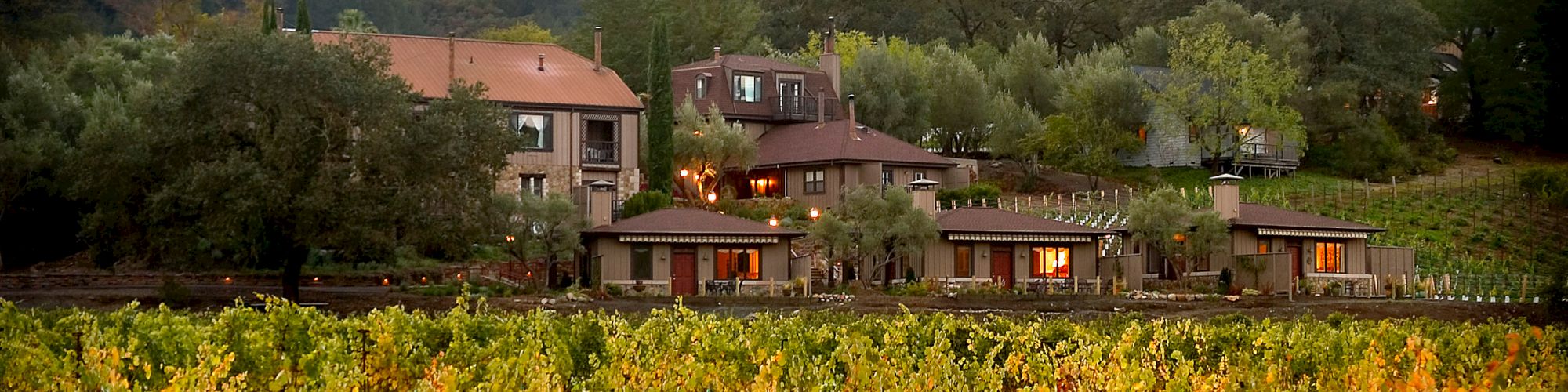 This image shows a picturesque vineyard with rows of grapevines, leading up to a cluster of rustic buildings nestled among lush green hills.