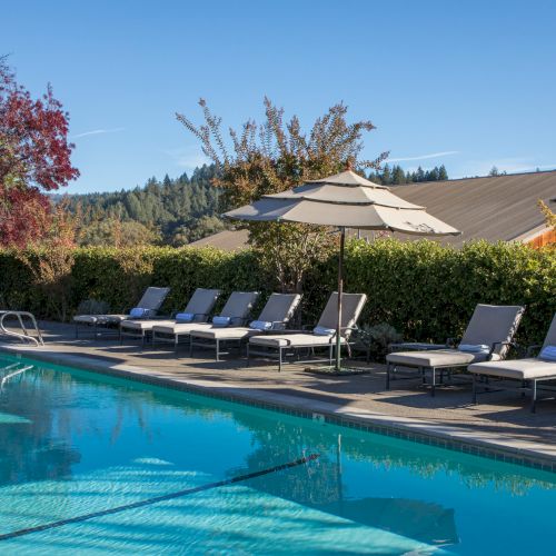 The image showcases a serene outdoor swimming pool lined with lounge chairs and umbrellas on a sunny day, with a backdrop of trees and hills.