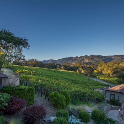 A scenic view of a vineyard with various buildings, greenery, and mountains in the background under a clear blue sky.