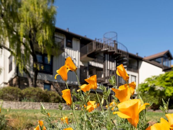 The image shows a building with a spiral staircase and blooming orange flowers in the foreground.