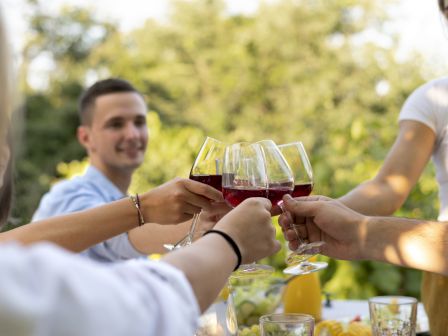 A group of people are toasting with glasses of red and white wine outdoors at a table set with various beverages and food items.