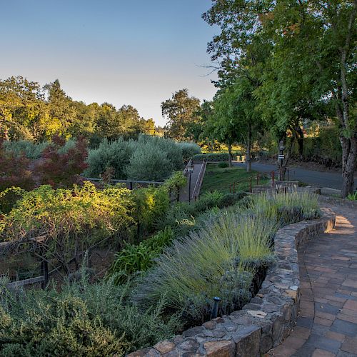 The image shows a scenic garden with a stone pathway, greenery, trees, and a background of sunlight on forested hills ending the sentence.