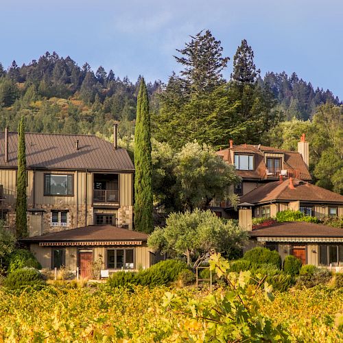 The image shows a scenic view of houses surrounded by trees and hills, with a vineyard in the foreground under a clear sky.