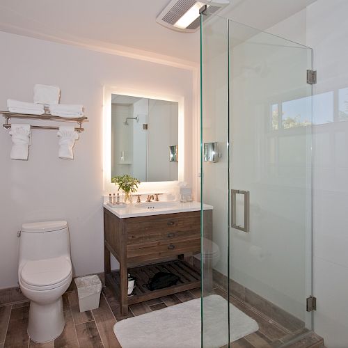 Modern bathroom with a walk-in glass shower, a toilet, a vanity with a mirror, and wall-mounted towels. The room has light decor and wooden flooring.